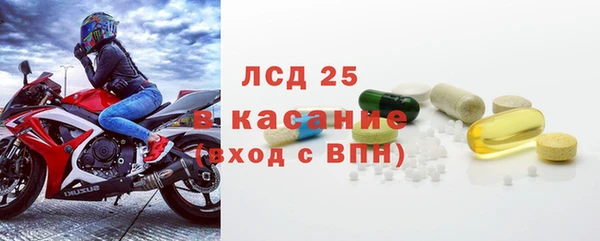 прущие грибы Алексеевка