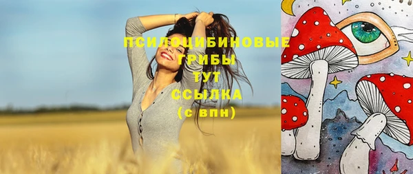 шишки Абдулино